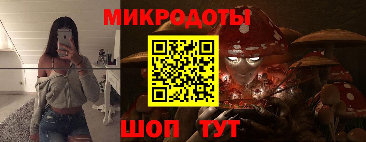 Галлюциногенные грибы Psilocybe  Вход с VPN  Джанкой 